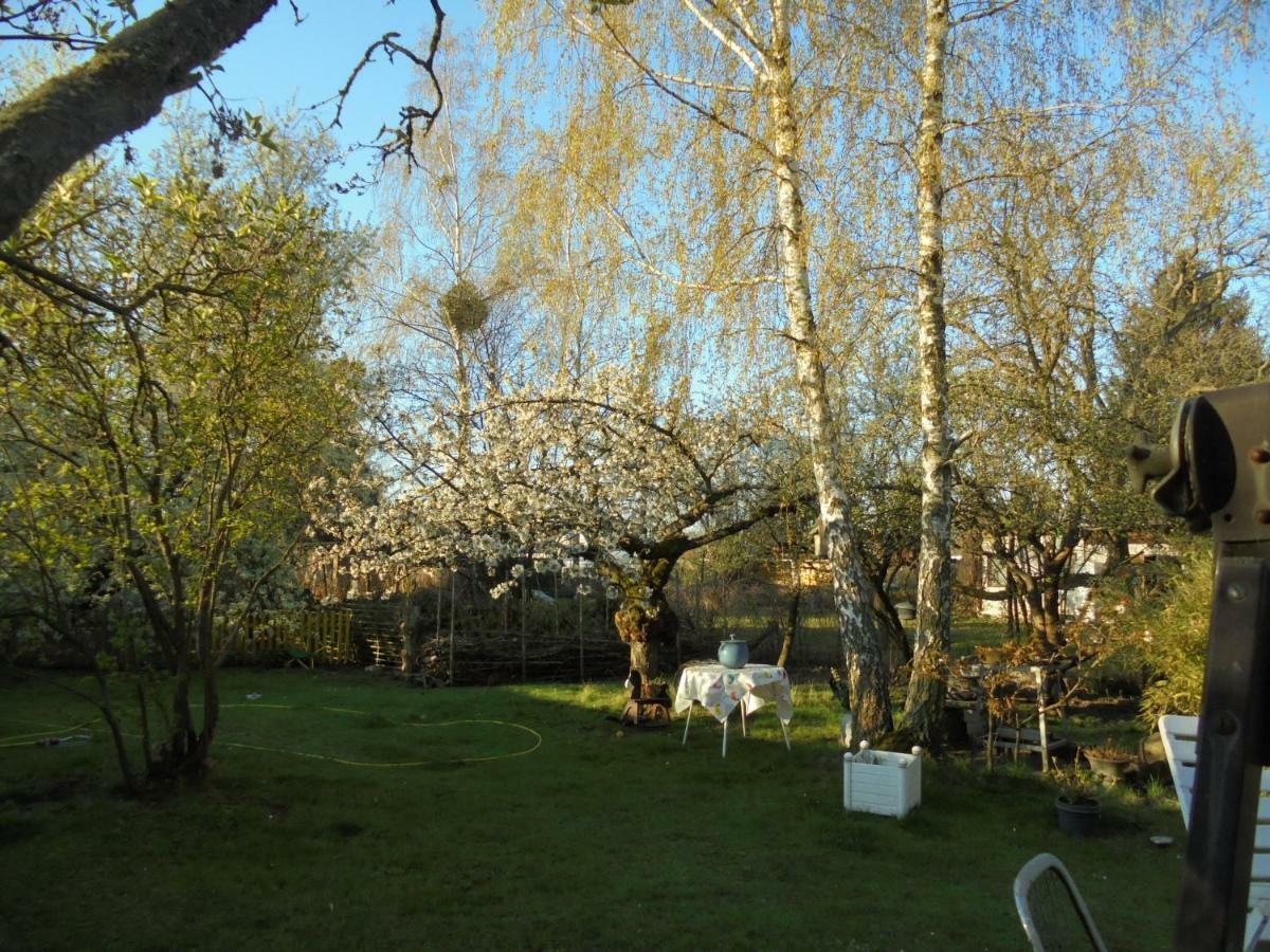 Hundefreundliches Zimmer Wustermark Exterior photo